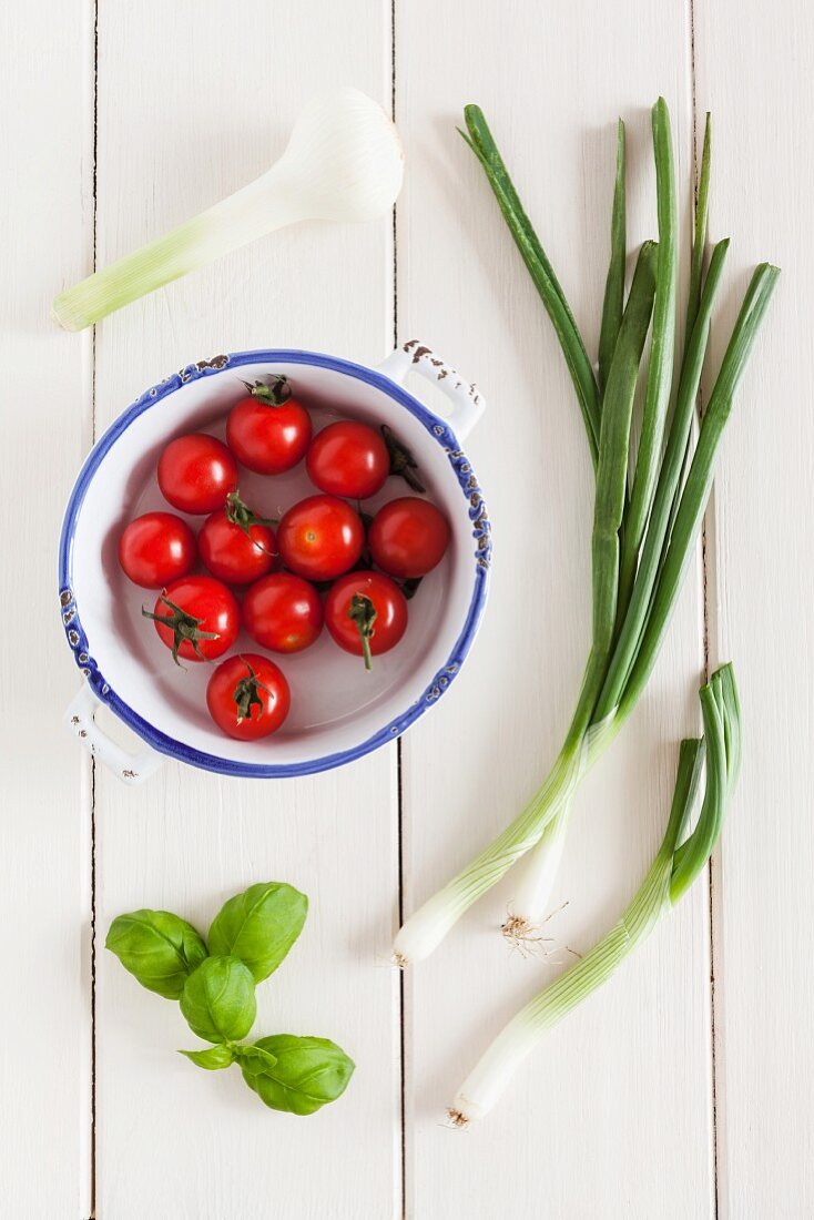 Zutaten für Tomatensauce