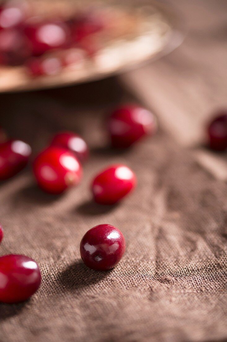 Frische Cranberries auf braunem Stoff