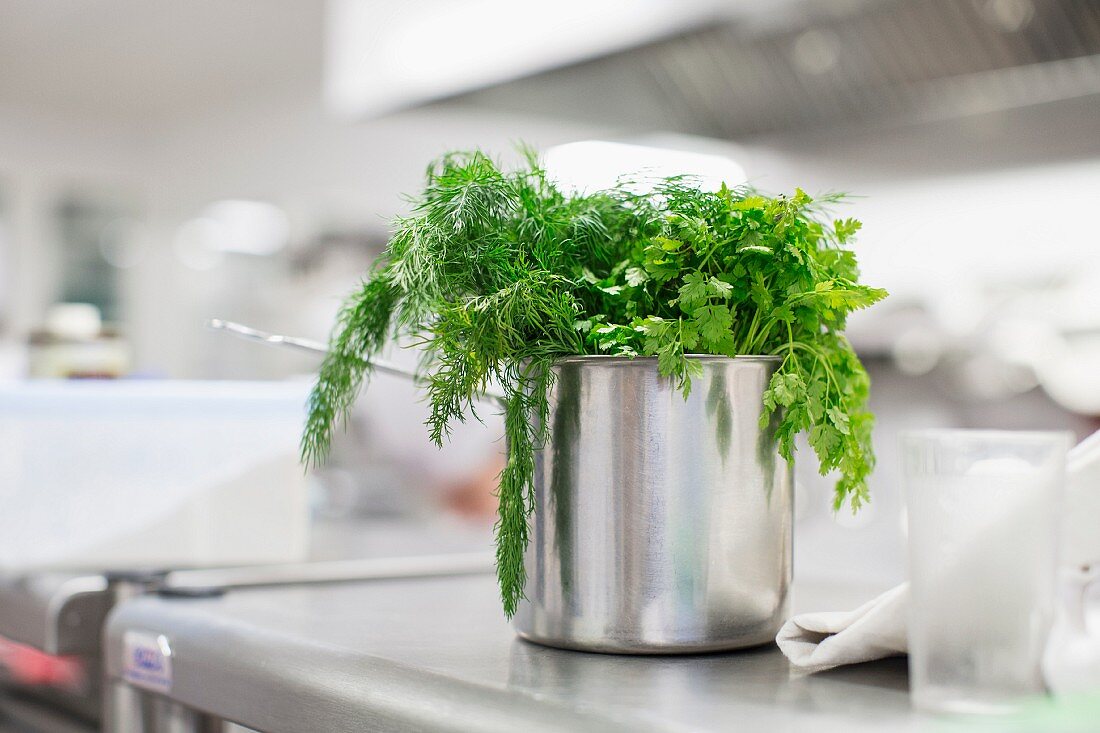 Fresh herbs in a stainless steel pot in a kitchen