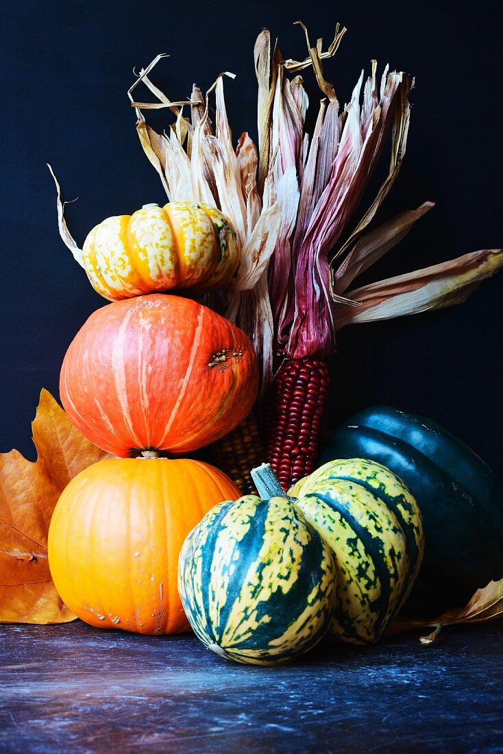 Halloween pumpkins, gourds and indian corn