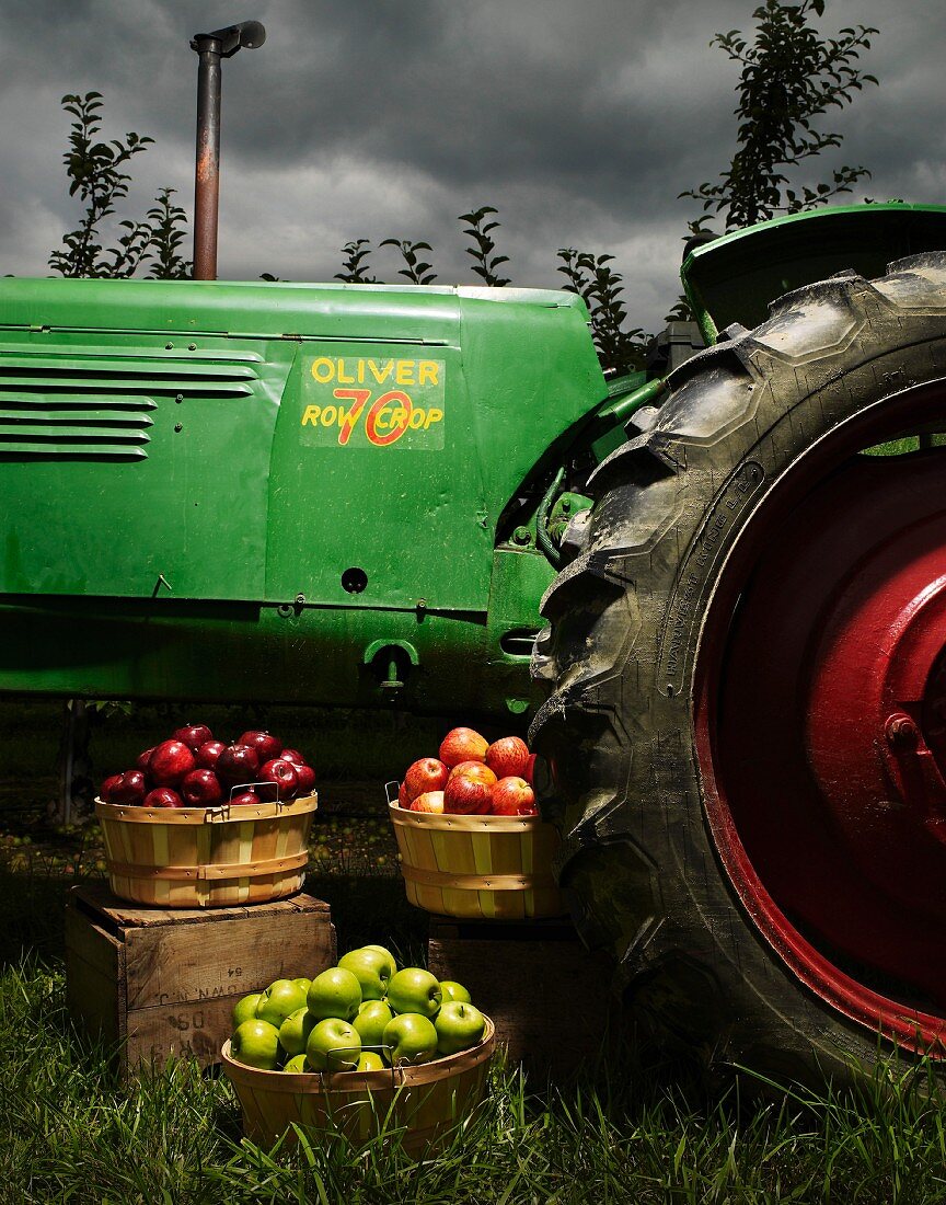 Verschiedene Apfelsorten in Holzkörben vor großem Traktor