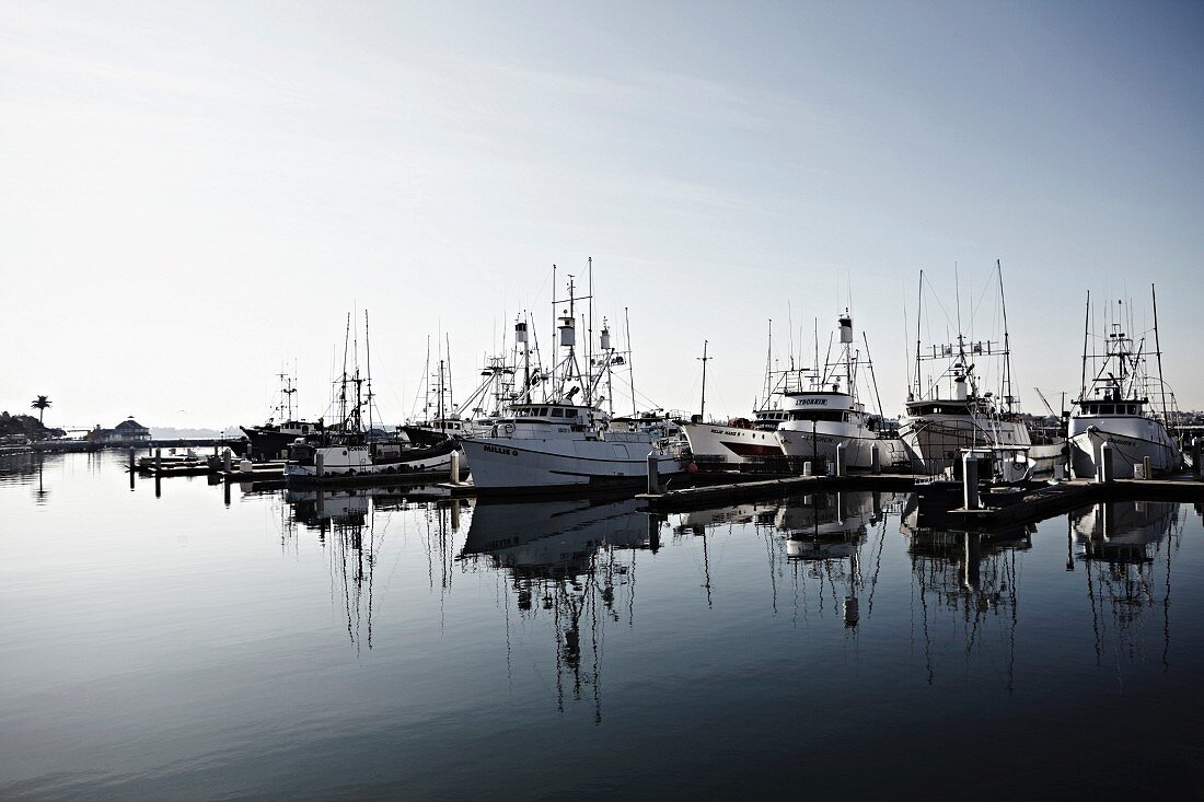 Moderne Fischerboote in ruhigem Hafengewässer