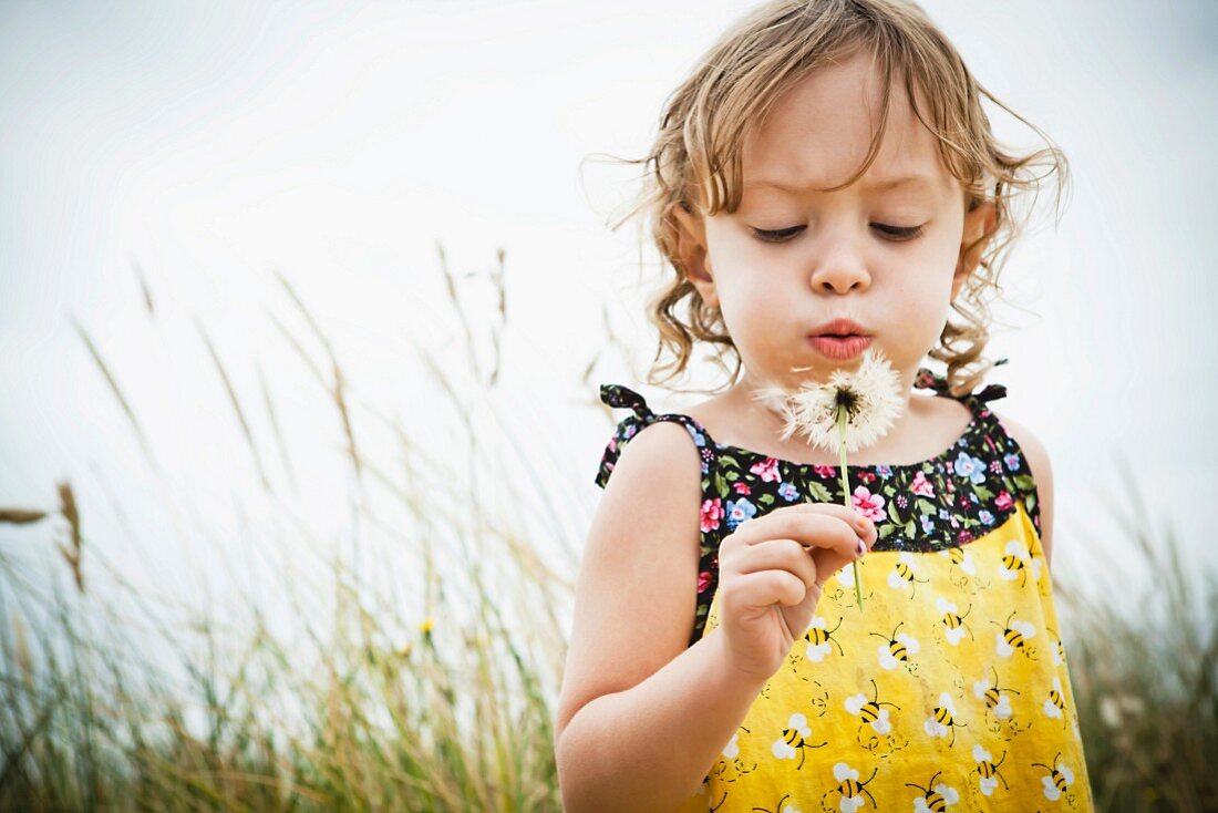 Little girl with dandelion clock