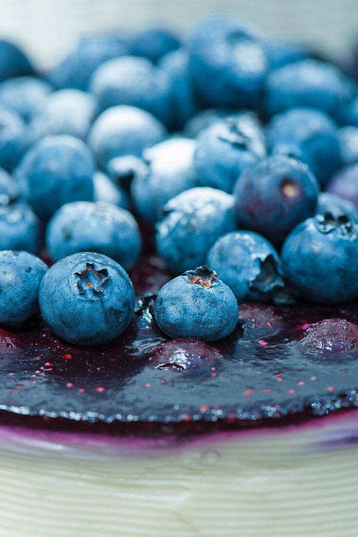 Frische Heidelbeeren auf einem Käsekuchen (Close Up)