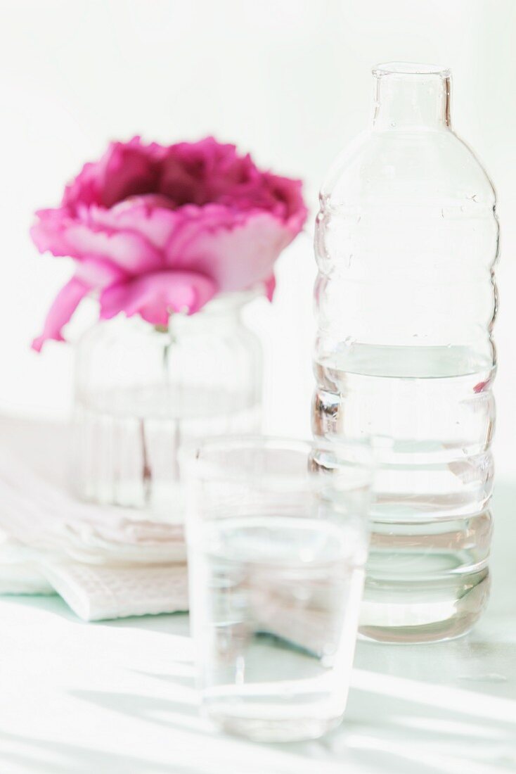 Pinkfarbene Rosenblüte im Wasserglas neben Wasserflasche