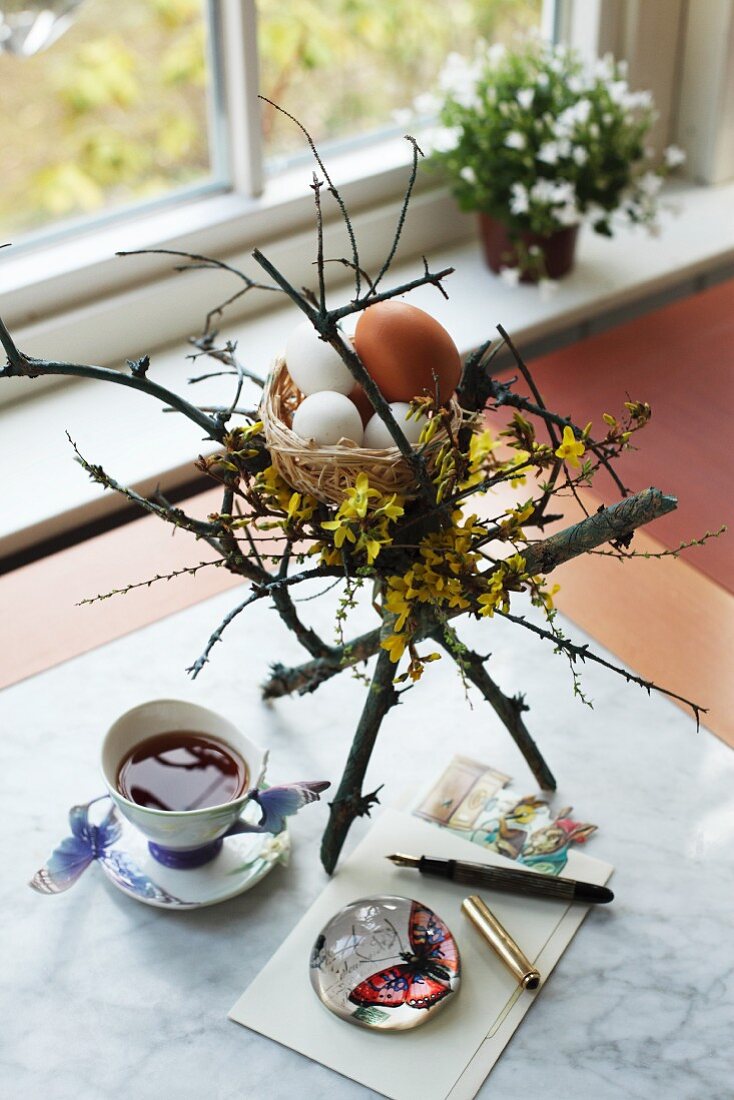 Undyed eggs in Easter nest arrangement with flowering forsythia on table