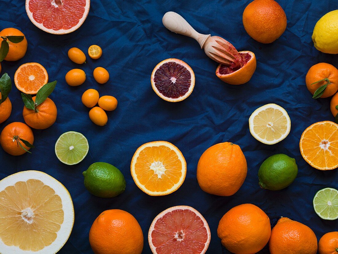 Overhead of cut and whole grapefruits, oranges, lemons, limes and kumquats on a dark blue material with a blood orange juiced with a wood reamer