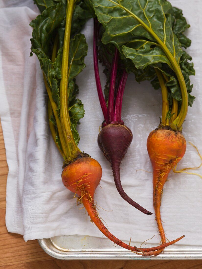 Red and golden beets with greens drying in a pan on a white kitchen towel