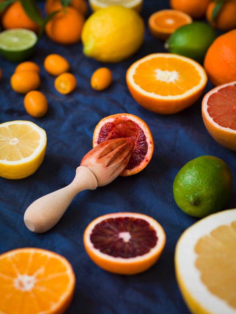 Blutorange mit Zitruspresse, umgeben von Grapefruit, Zitrone, Limette, Kumquat und Orangen