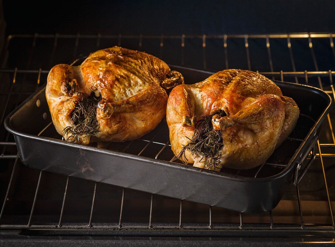 Two chickens in roasting pan coming out of the oven with rosemary stuffed in the cavities
