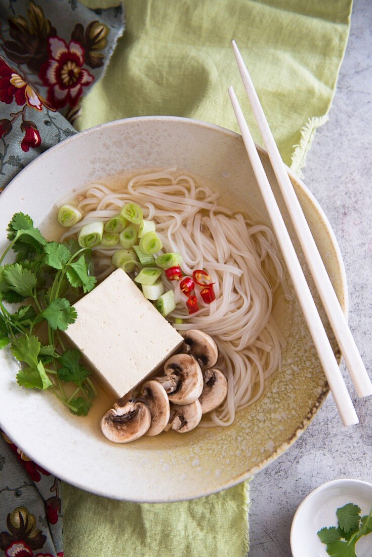 Nudelsuppe mit Tofu, Champignons und Koriandergrün (Asien)