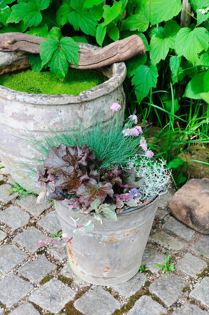 Miniteich in altem Tontopf & Herbstpflanzen in Zinkeimer