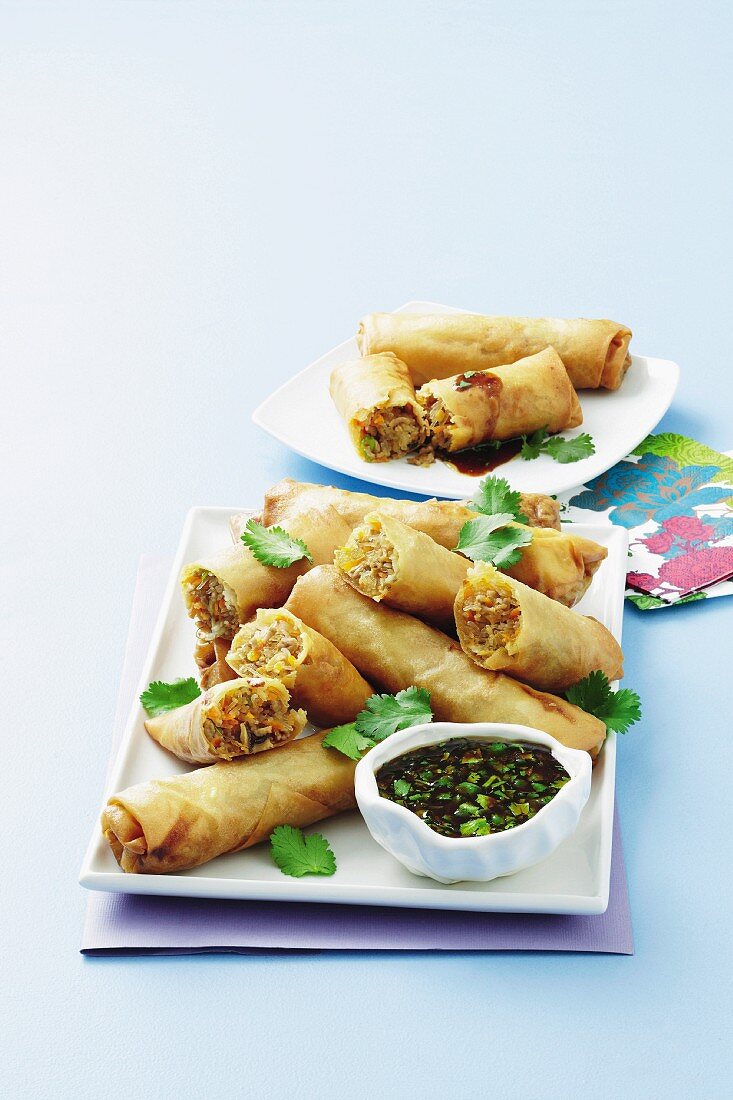 Spring rolls filled with vegetables and minced meat