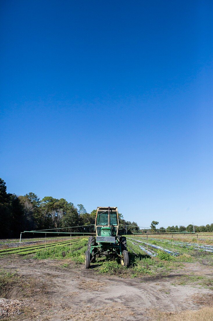 A tractor in a big field