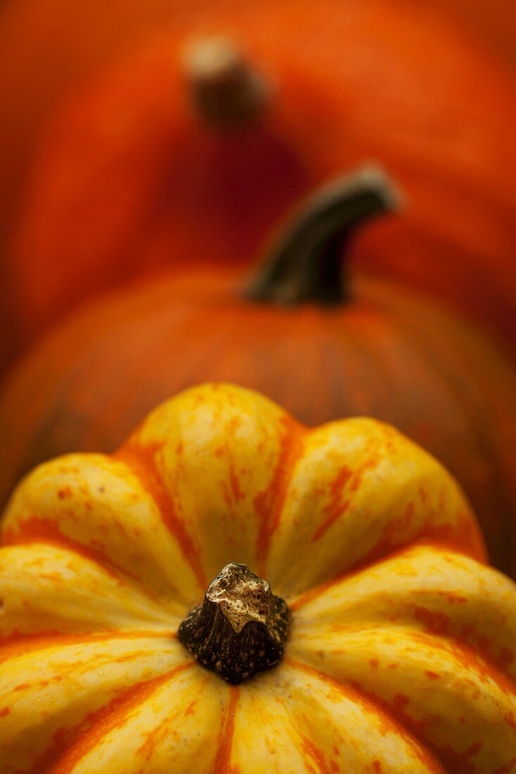 Orange and yellow pumpkins (close-up)