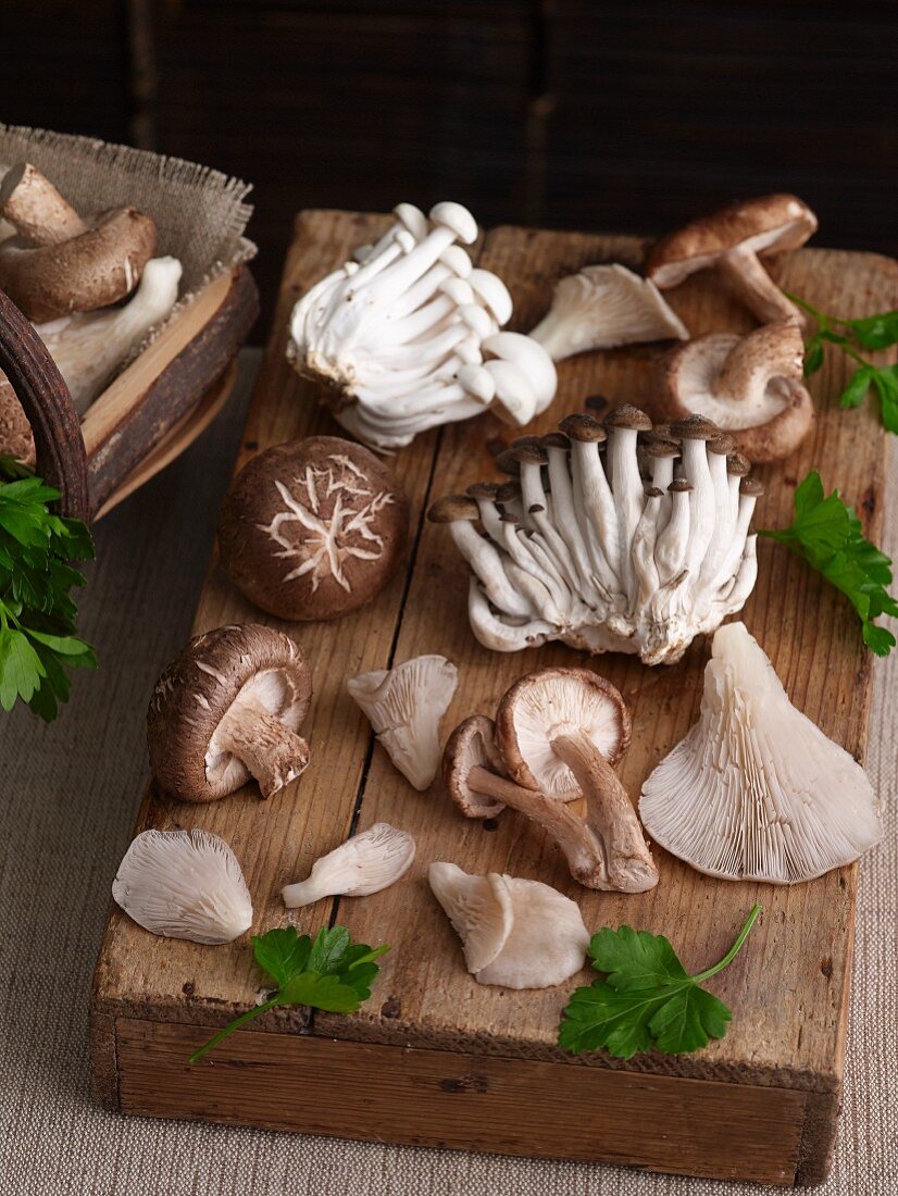 Various fresh edible mushrooms from Asia