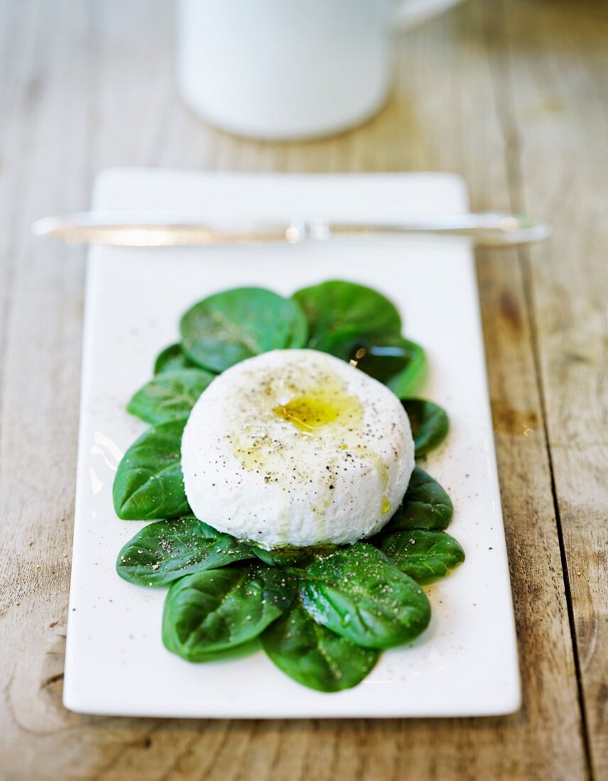 Goat's cheese with olive oil, salt and pepper on a bed of spinach