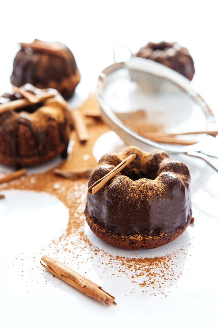Mini Bundt cakes topped with chocolate glaze and cinnamon