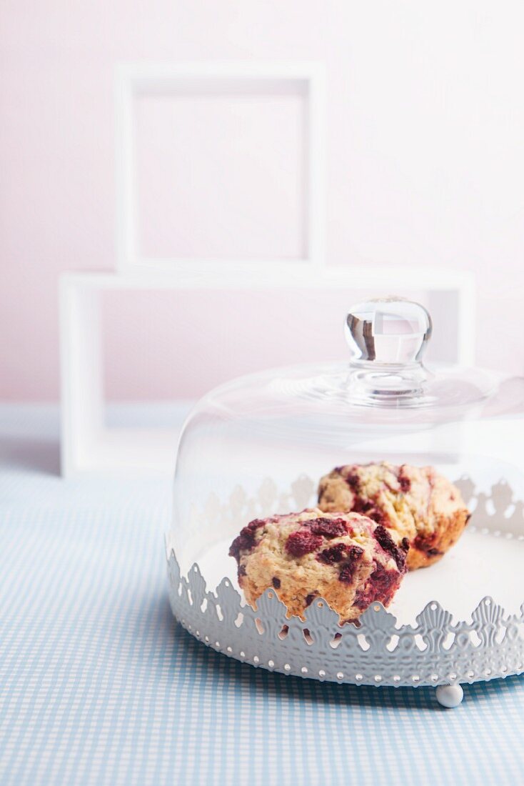 Berry muffins under a glass cloche