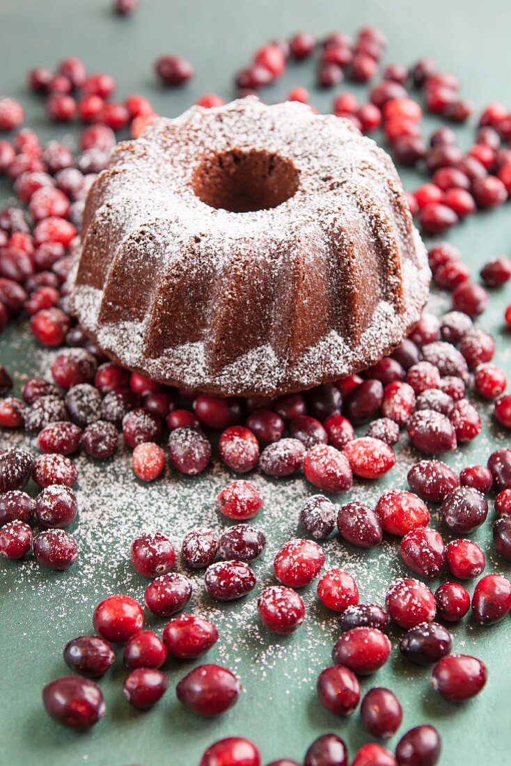 Gugelhupf mit Puderzucker und Cranberries