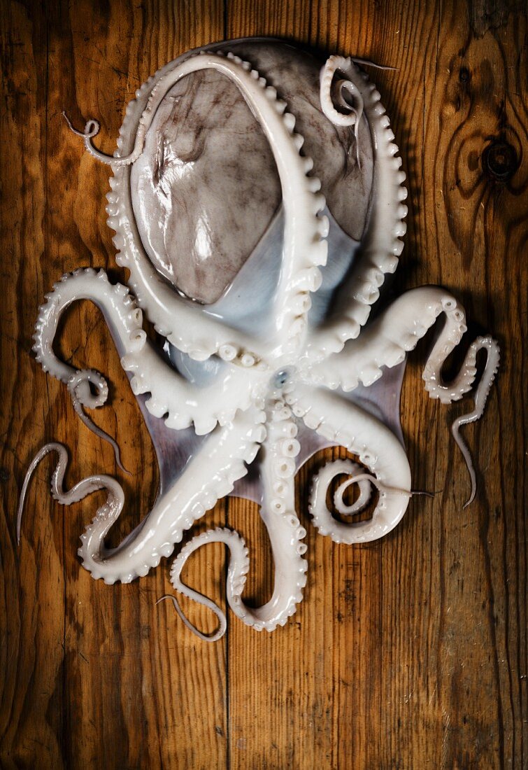 A fresh octopus on a wooden surface