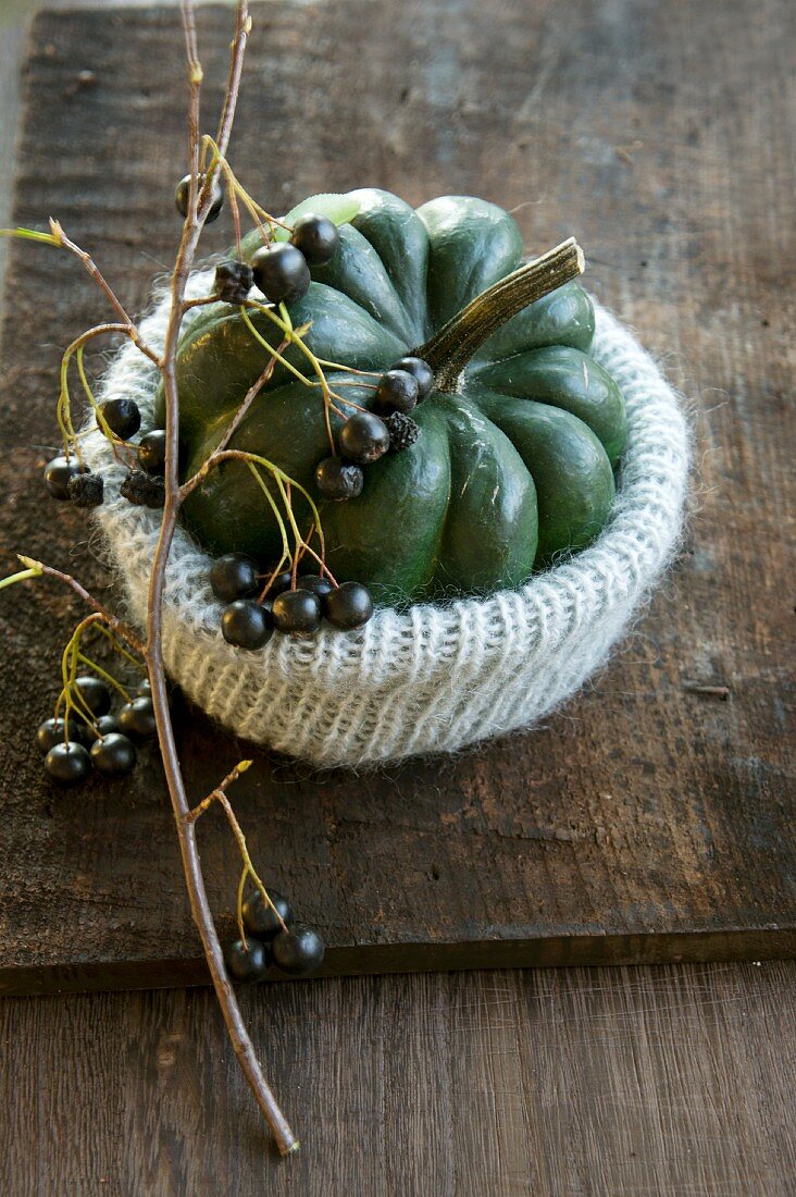 An ornamental pumpkin in a knitted cover with a sprig of aronia berries