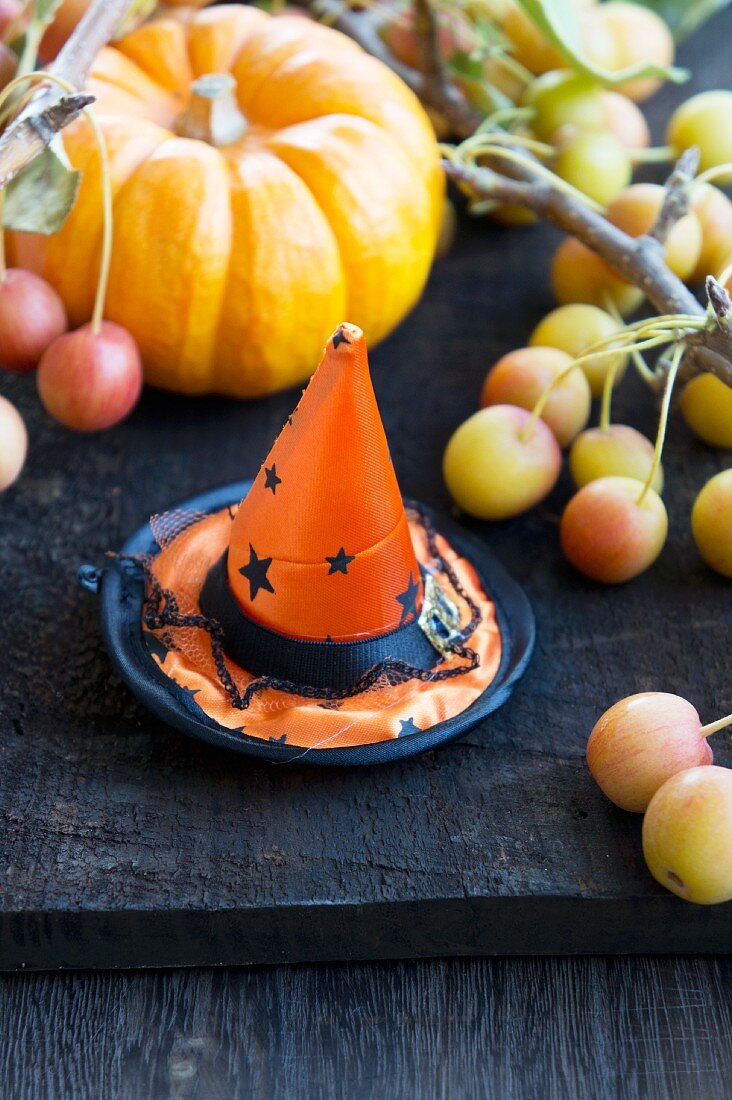 Halloweenmütze vor Zierkürbis und Zieräpfeln