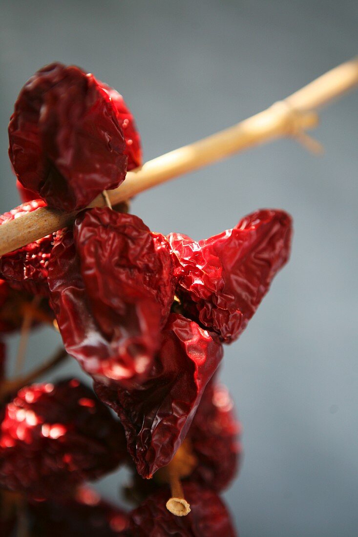 Dried peppers