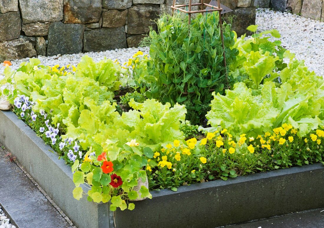 Flowers and vegetables growing in a raised bed