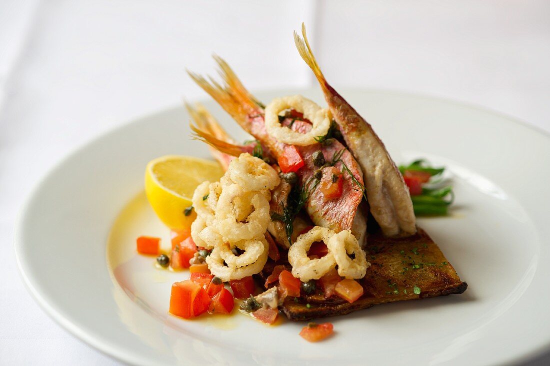 Red snapper with fried calamari