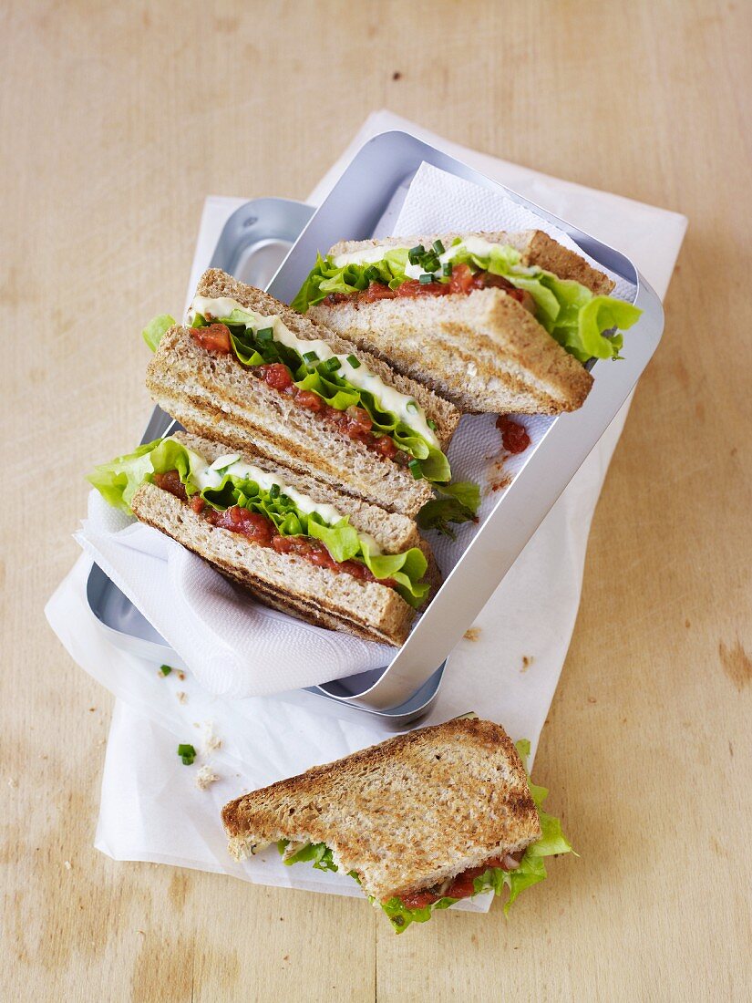 Sandwiches mit Tomaten und Hummus in Picknickdose