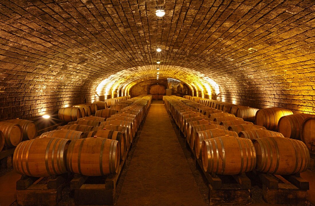 Weinfässer im Keller der Domaine de la Pinte, Arbois, Jura, Frankreich