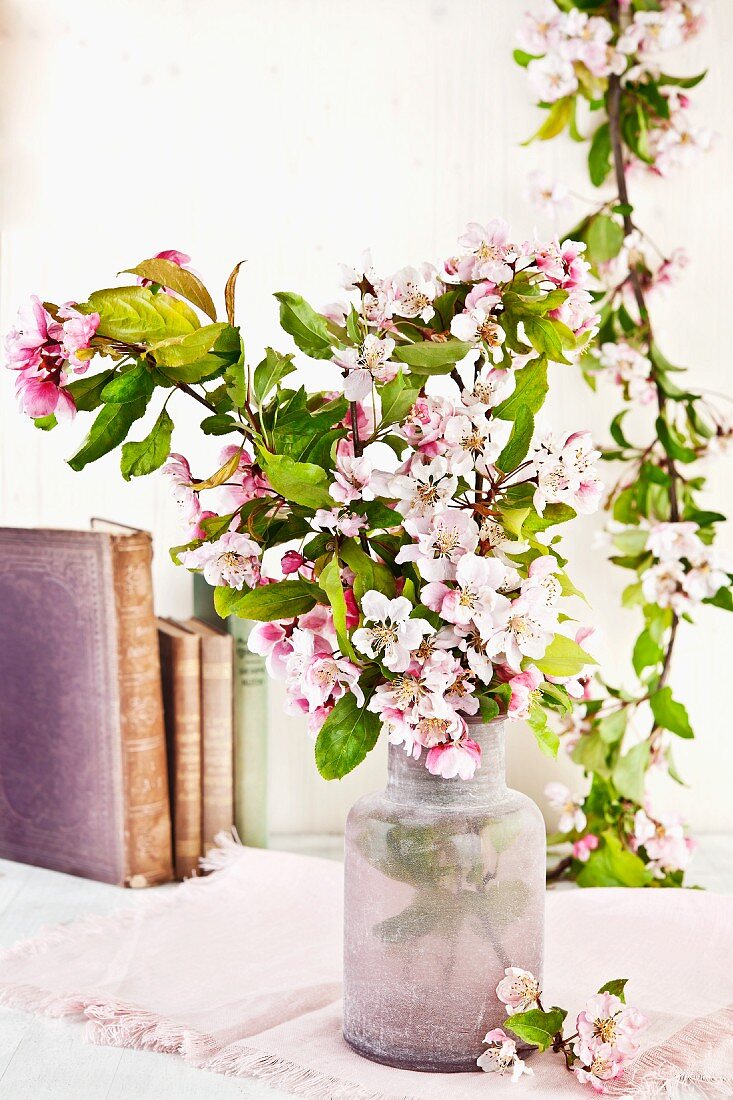 Bouquet of apple blossom