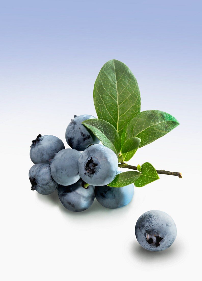 Blueberries with stems and leaves