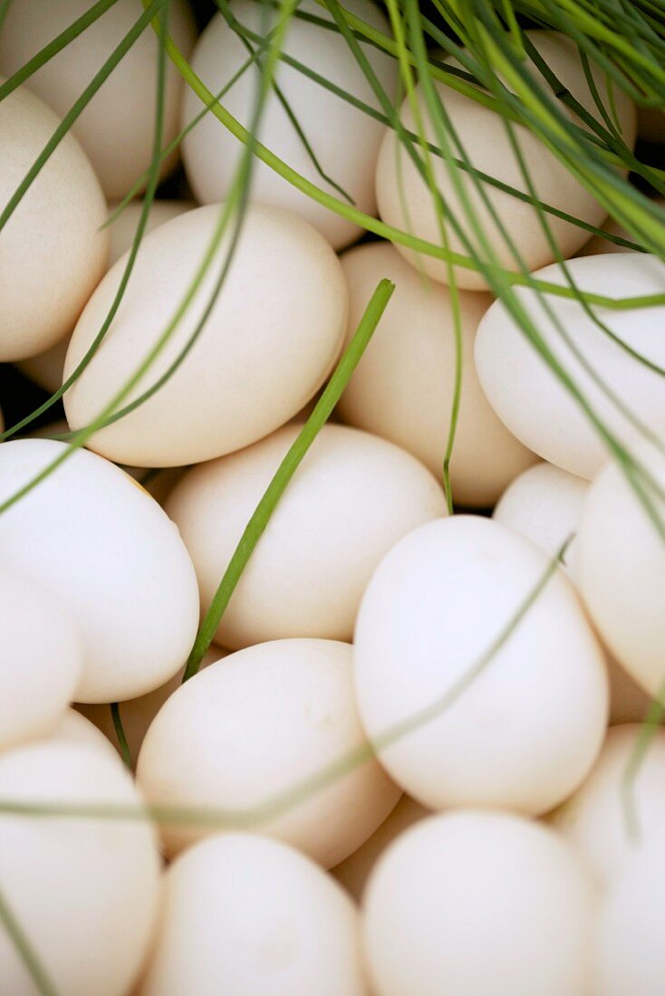 weiße Eier mit Schnittlauch