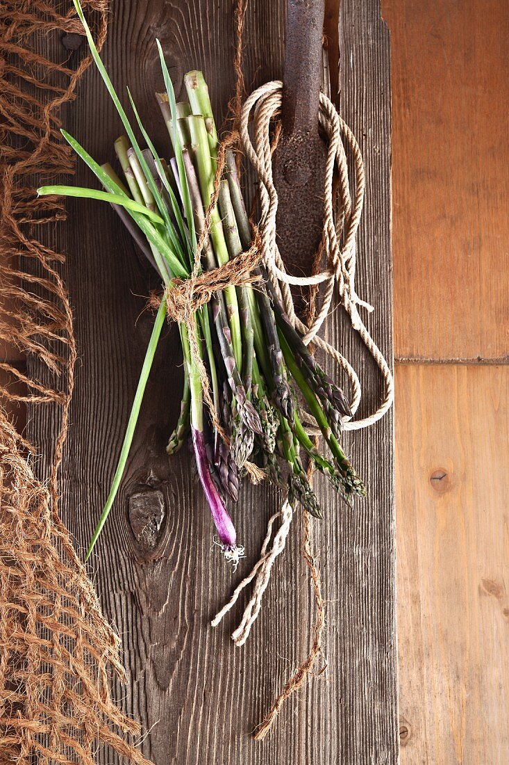 Wild asparagus and onions