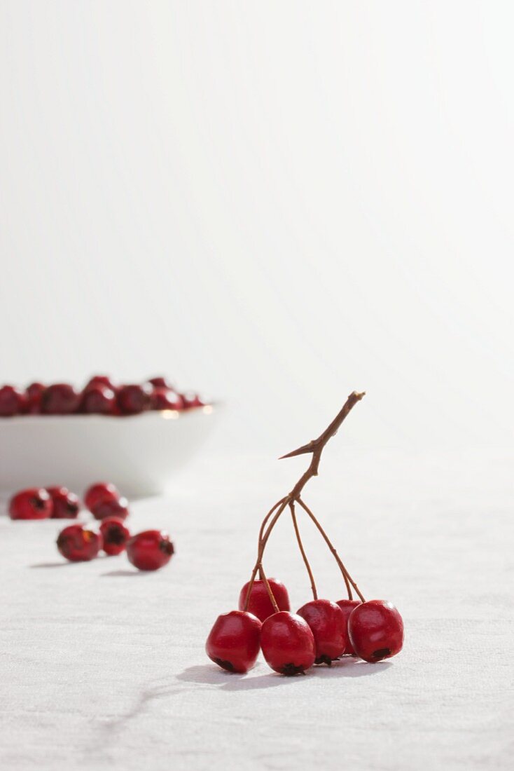 Fresh hawthorn berries on stems and in a bowl