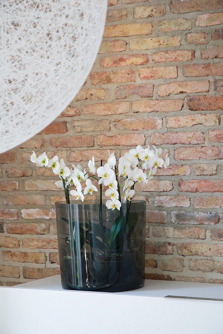 Orchideen in Rauchglasschale vor Backsteinwand; Ausschnitt einer Ballonleuchte