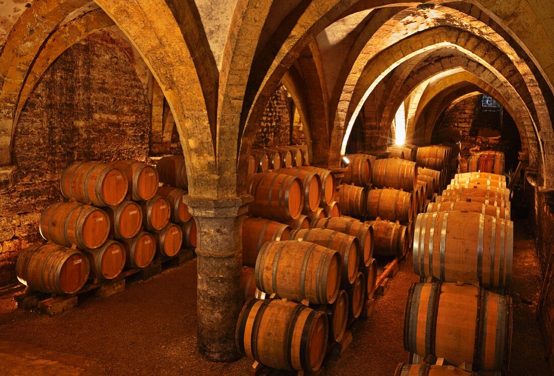 Gotisches Kellergewölbe mit gelagerten Weinfässern