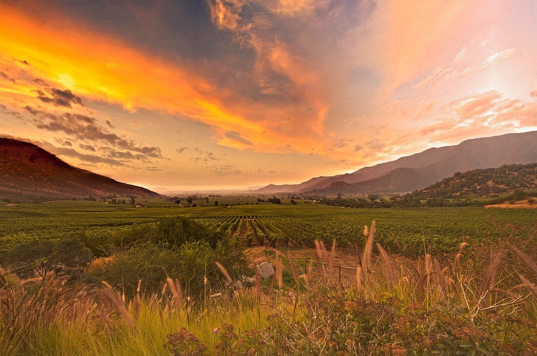 Sonnenuntergang über dem Weingut Altair (Cachapoal Valley, Chile)