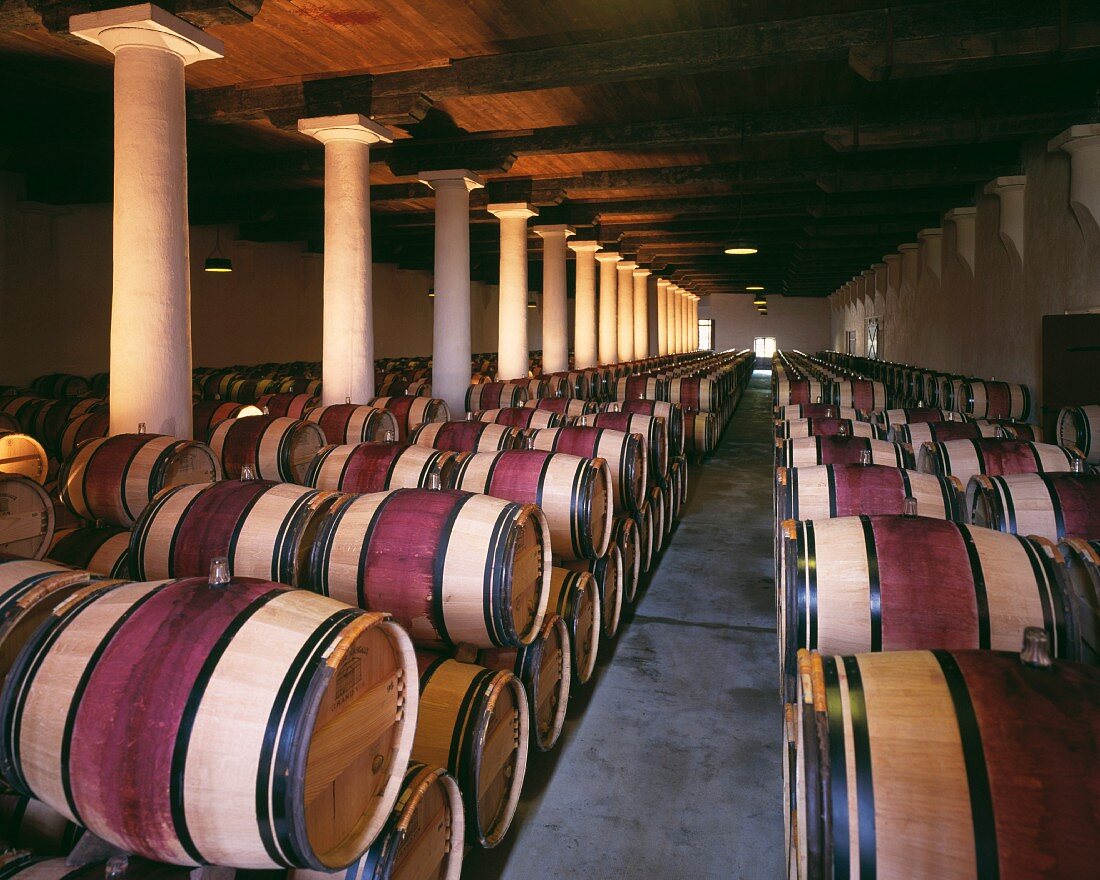 Barriquesfässer im Weinkeller des Château Margaux (Gironde, Frankreich)