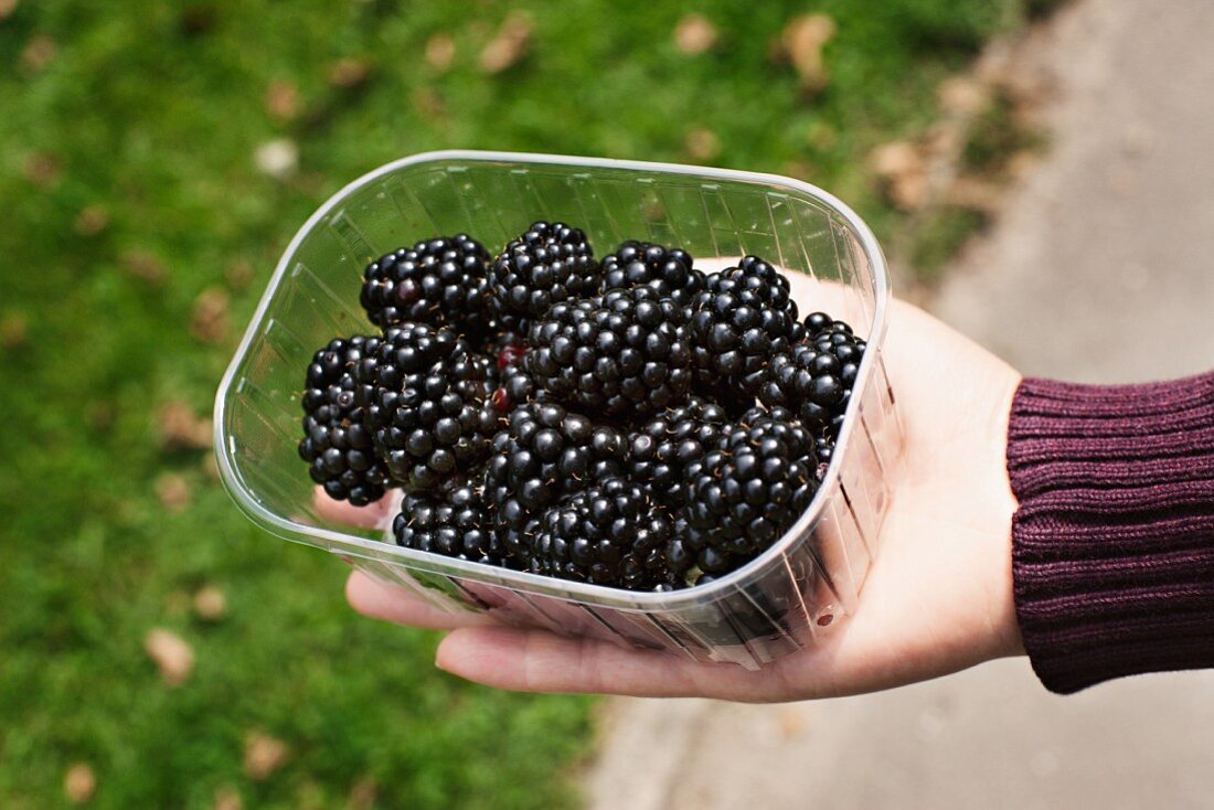 A punnet of fresh blackberries