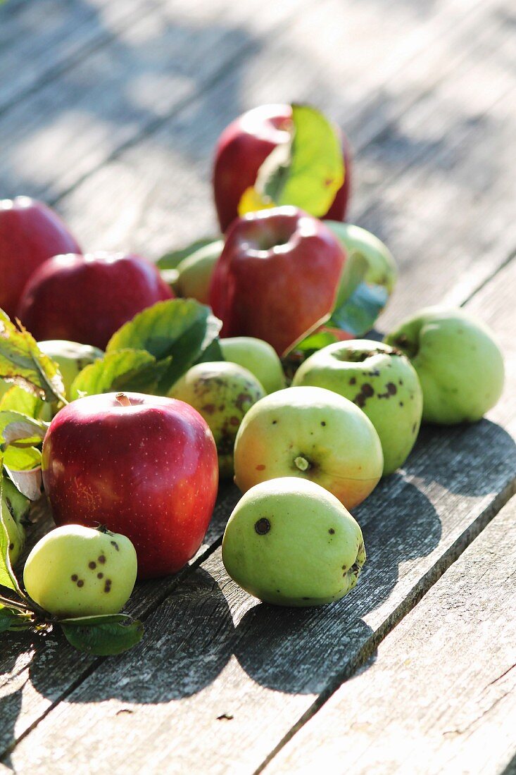 Red and green apples on wooden surface
