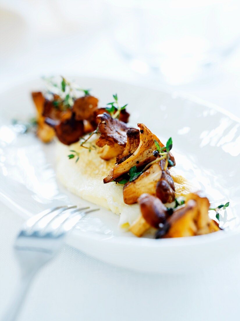 Mashed potatoes with chanterelles