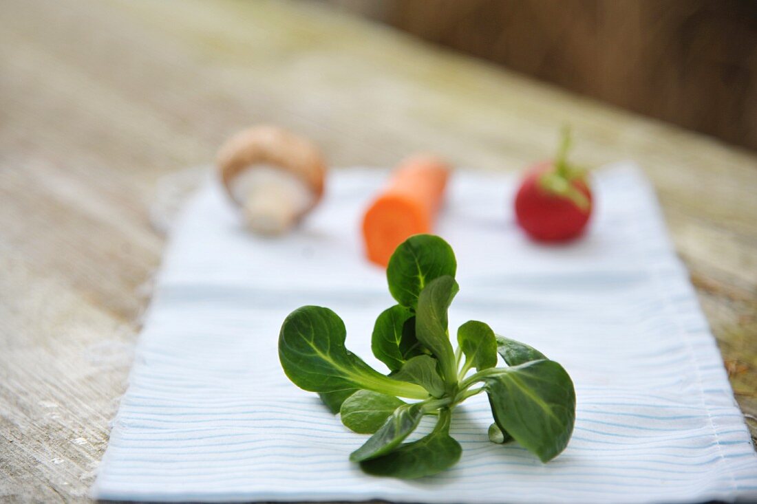 A sprig of lamb's lettuce on a napkin with vegetables in the background