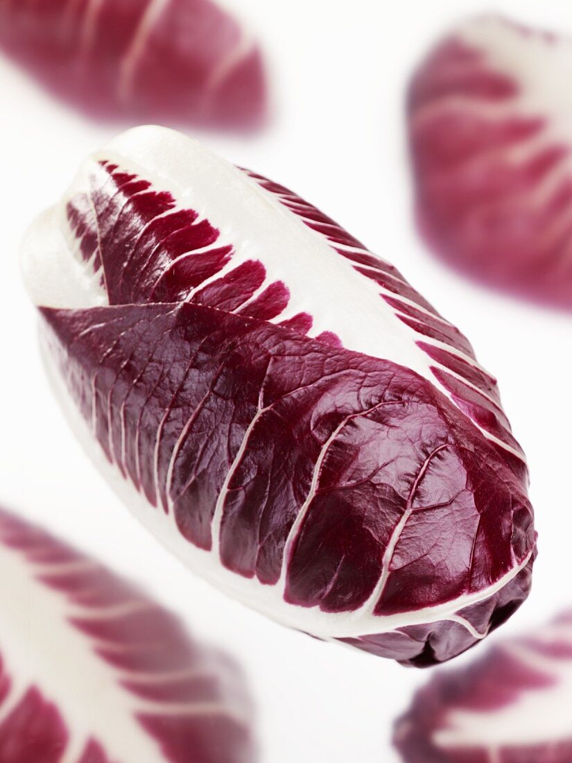 Stielradicchio