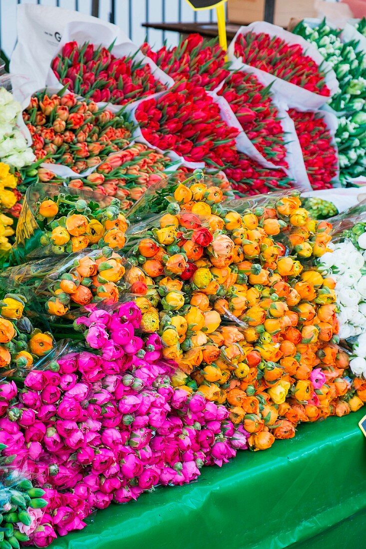 Bouquets of ranunculus & tulips on flower market (Netherlands)