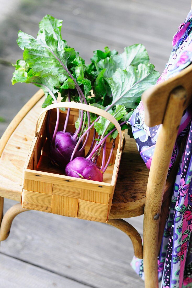 Kohlrabi im Körbchen