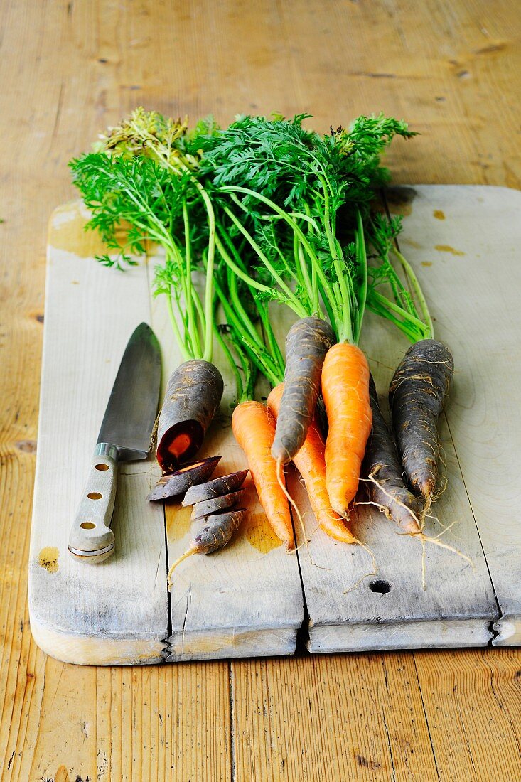 Bunte Karotten