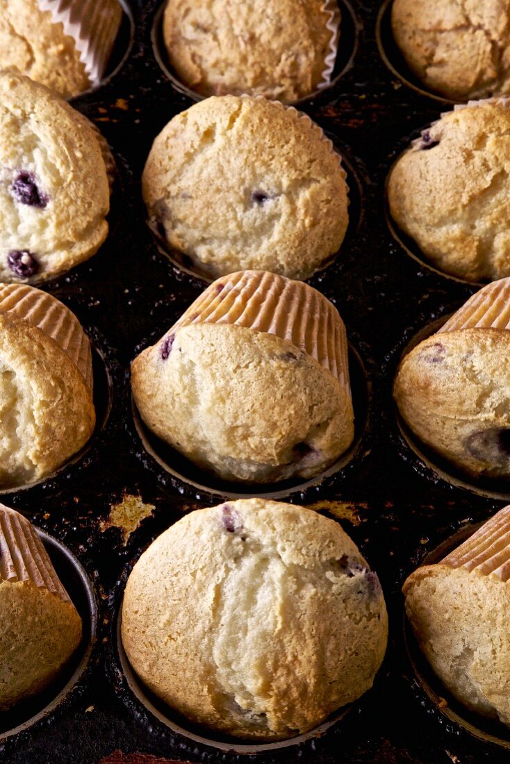 Blueberry muffins in a muffin tin (close-up)